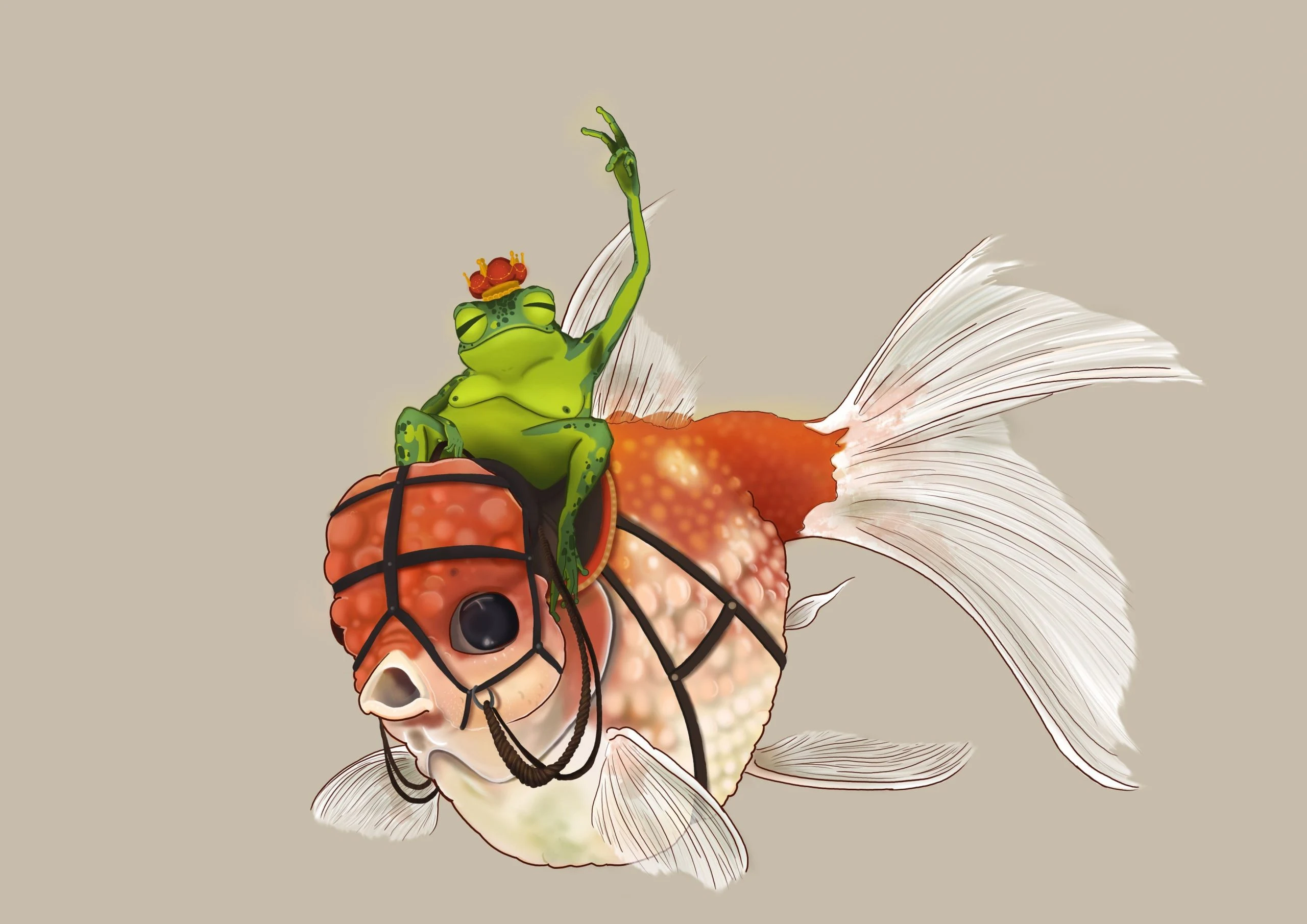 Fish rider